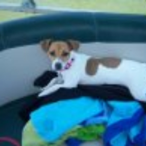 Meet your Posher, Aamie - Picture 8 of 8